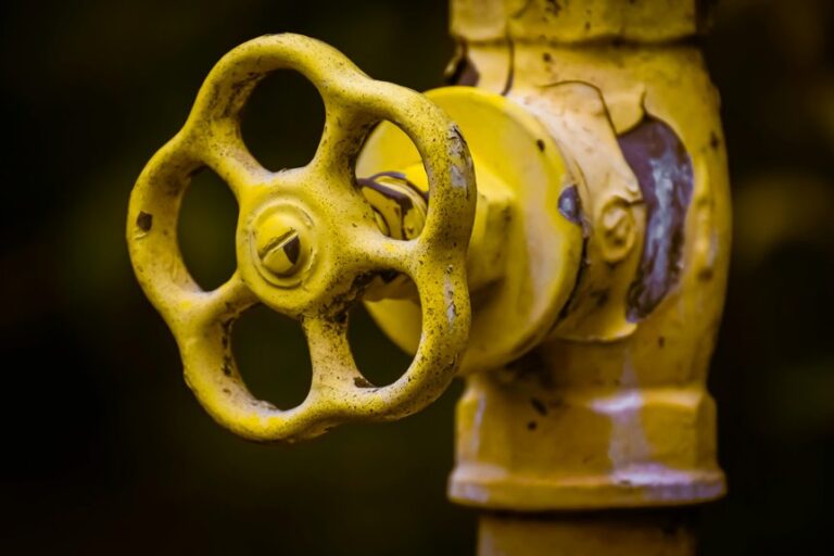 clean iac valve in place
