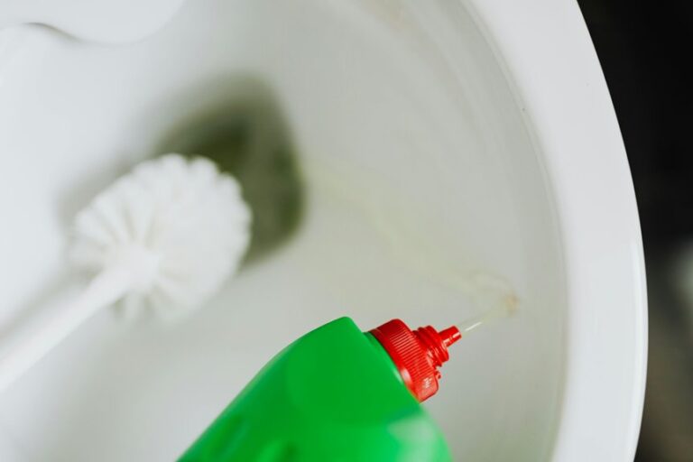 remove blue toilet seat stains