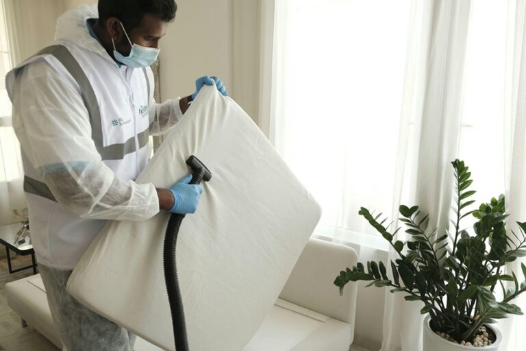 remove cat urine mattress odor