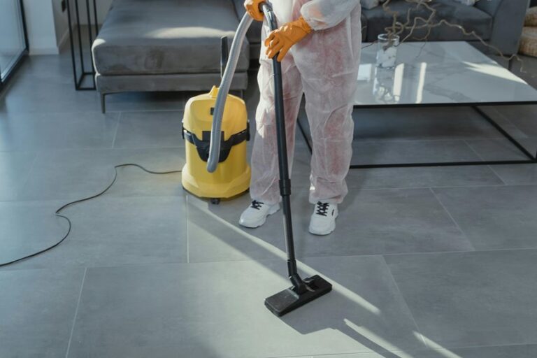 remove mold from seal