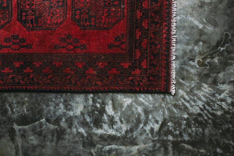 remove mold smell from carpet